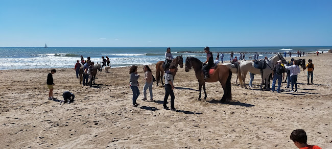 Reviews of Xarcuteria Ester (Ca la Margaret) in Gironella - Gastronomía y hostelería