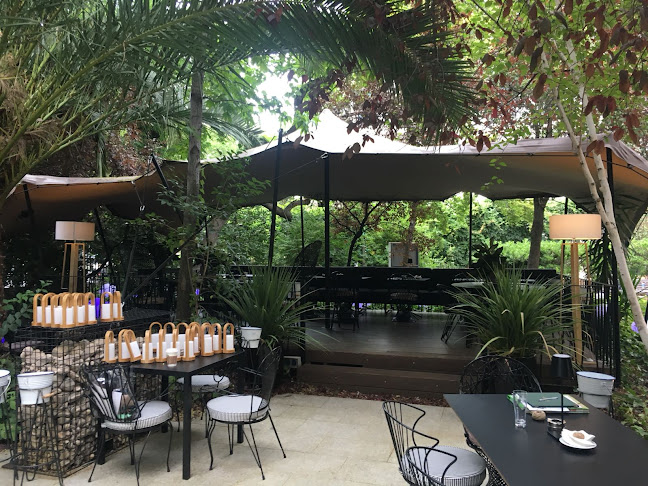 Raimunda Phone number