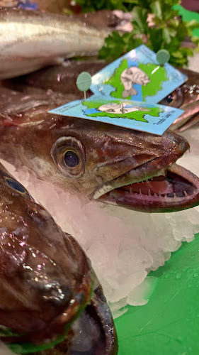 El Peix grup peixos joanmi - Gastronomía y hostelería