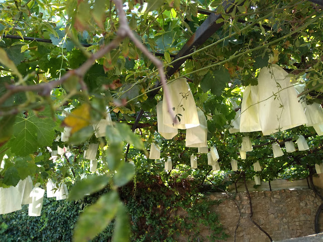 Scalia Pub. - Gastronomía y hostelería