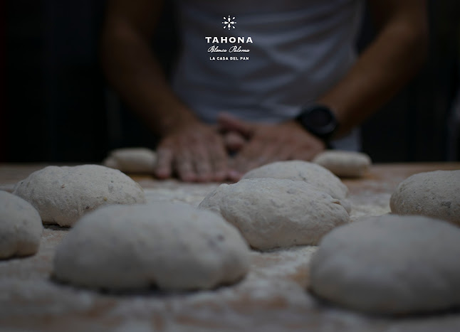 Reviews of Tahona Blanca Paloma La Casa del PAN in La Algaba - Gastronomía y hostelería