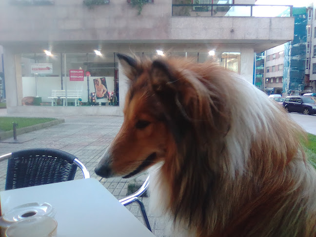 Bocateria Cafe Bar Sol - Gastronomía y hostelería