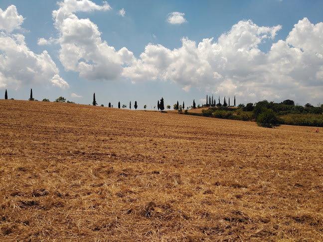 Alfonso Presas Casanovas - Rubí