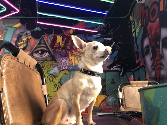 C. Fresa, 15, Casco Antiguo, 41002 Sevilla