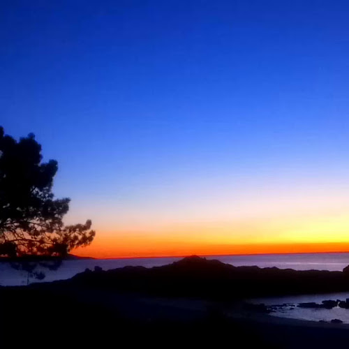 Restaurante Fidel en Sanxenxo