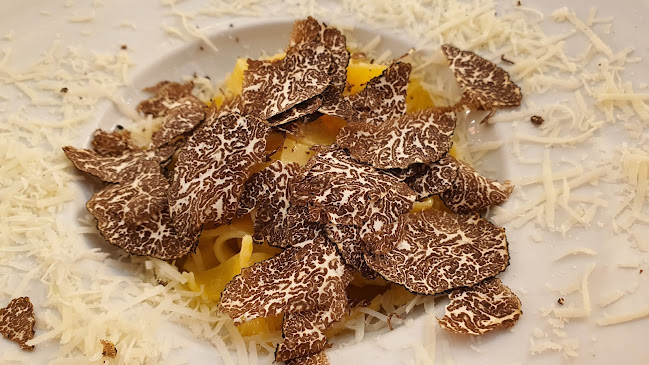 Comments and reviews of A vÁnvera