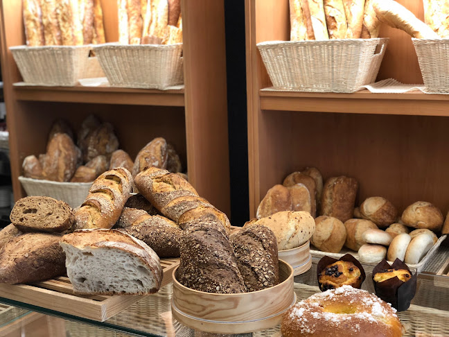 Comments and reviews of Xeve Arte-Sano