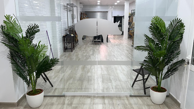 C. Dolores Rodriguez Sopeña, 2, 06010 Badajoz