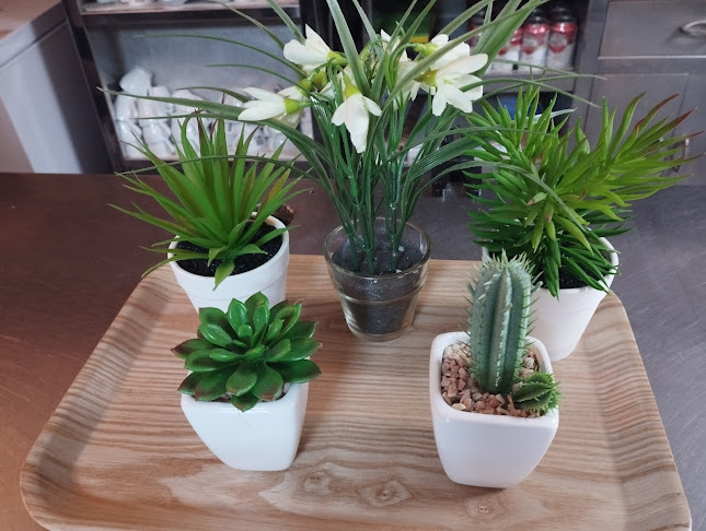 Av. Catedratico Soler, 43, 03008 Alicante