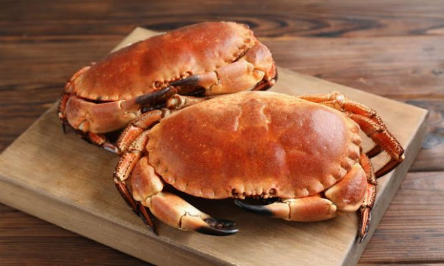 Marisquería Lázaro Phone number