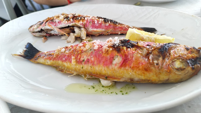 Chiringuito Paco - Gastronomía y hostelería