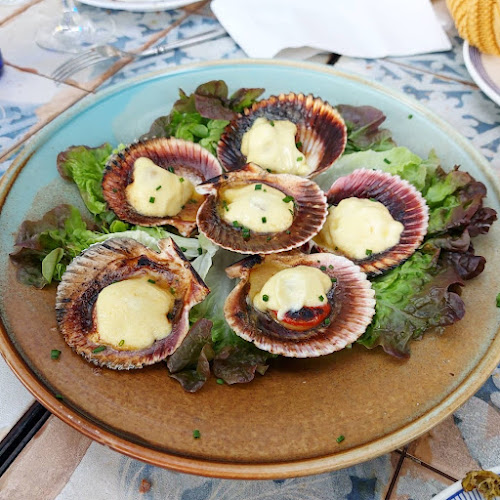 Comentarii opinii despre Teckel Madrid