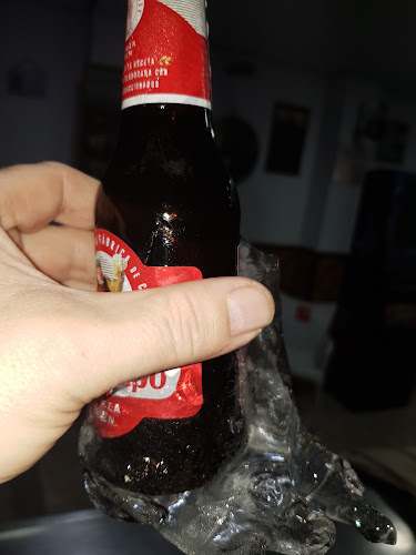 BAR CATA - Gastronomía y hostelería