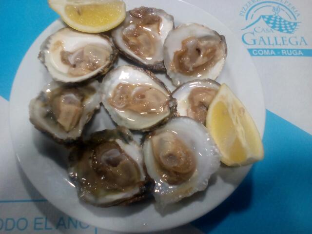 Comentarii opinii despre Casa Gallega Coma-Ruga