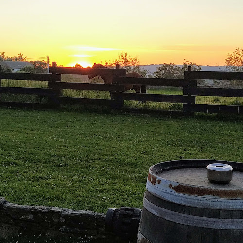 Restaurante Casa Pita - Gastronomía y hostelería