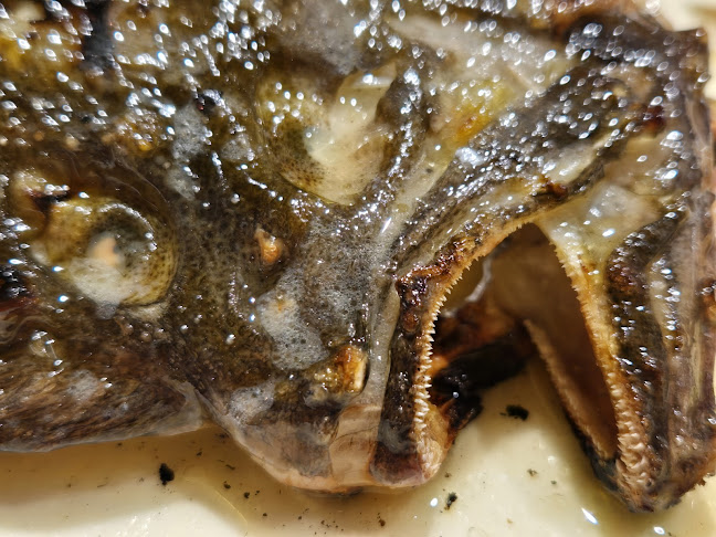 Reviews of Okamika in Zarautz - Gastronomía y hostelería