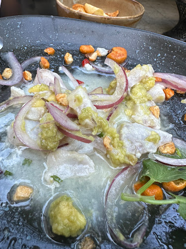 Raimunda Phone number