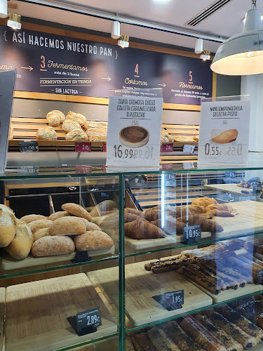 SanTomás Open Times