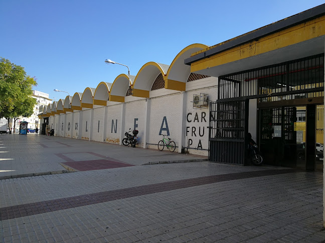 Mercado de Abastos Tiro de Línea Phone number