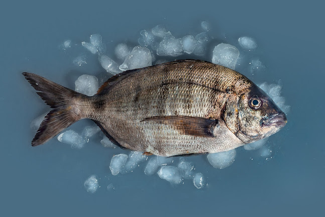 Udaberria Kalea, 10, 48992 Getxo, Bizkaia