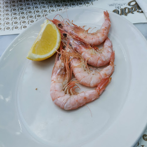 El Vagón de La Máquina Castellana | Gourmet Experience Open Times