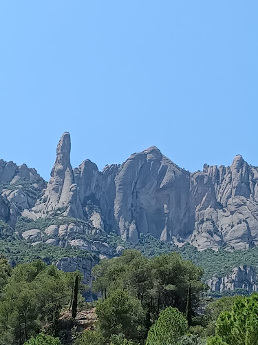 Bar La Roca - Gastronomía y hostelería