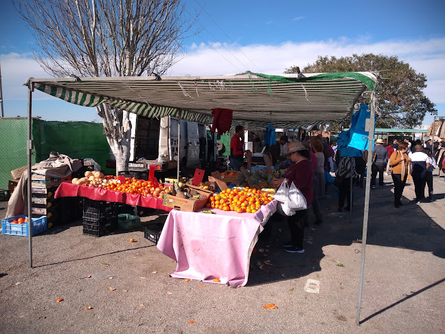 AutoCine. Mercadillo (los Domingos) de San Javier.