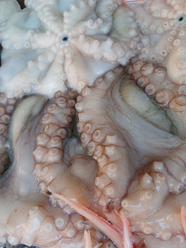 Pescadería Soler - Málaga