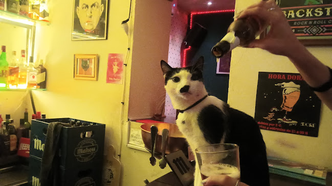 Bar Las Doré - Gastronomía y hostelería