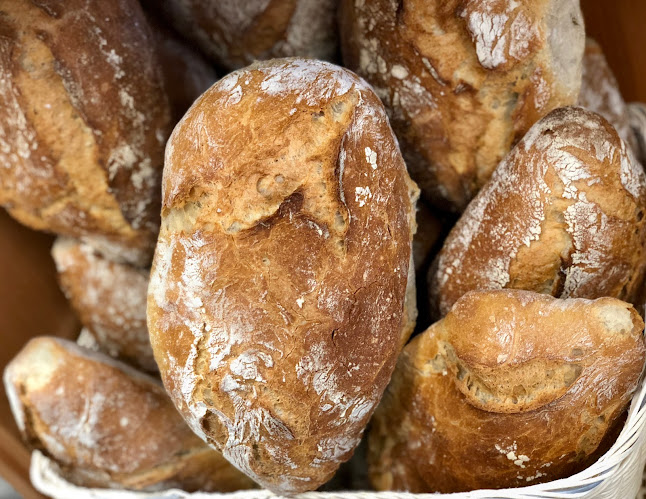 Xeve Arte-Sano - Pontevedra