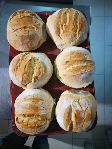 Comentarii opinii despre Obrador Pan Paco