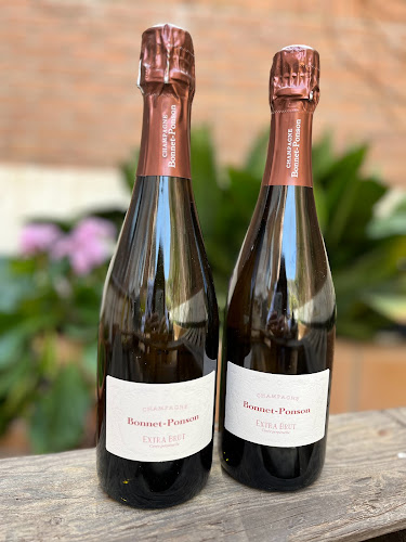 Vino con tino - Gastronomía y hostelería