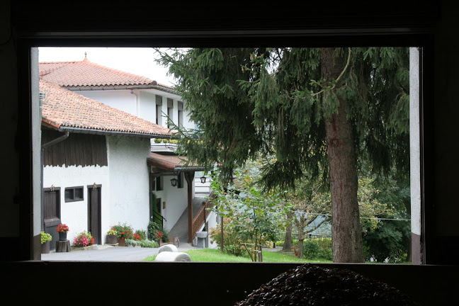 Comentarii opinii despre Isastegi Sagardotegia