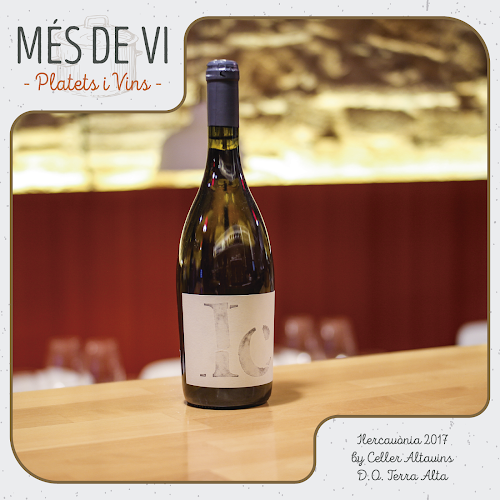 Comentarii opinii despre Més de Vi Restaurant