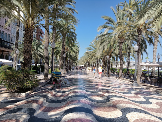 El Mirador del Puerto