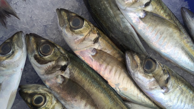 Comentarii opinii despre MERCADO MUNICIPAL DE CABO DE GATA