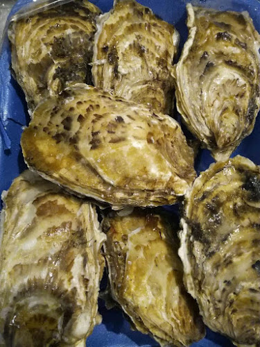 Comments and reviews of 渝州人家