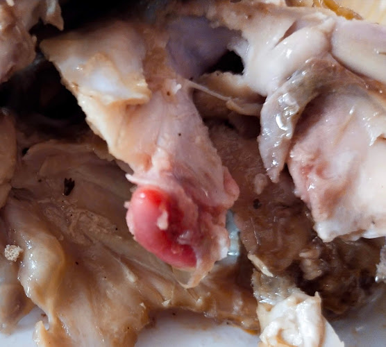 Comentarii opinii despre El Pollo Dorado