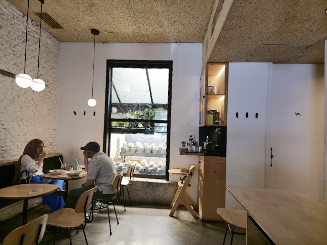 Misión Café - Gastronomía y hostelería