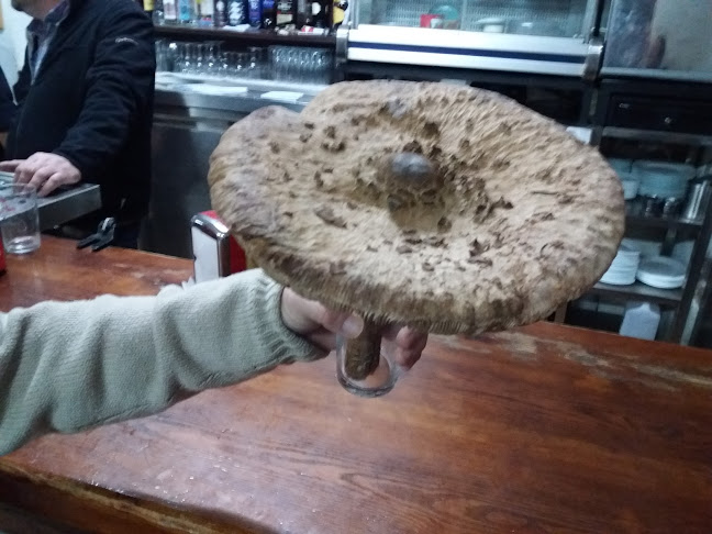 Reviews of Cateringalbahost in Trigueros - Gastronomía y hostelería