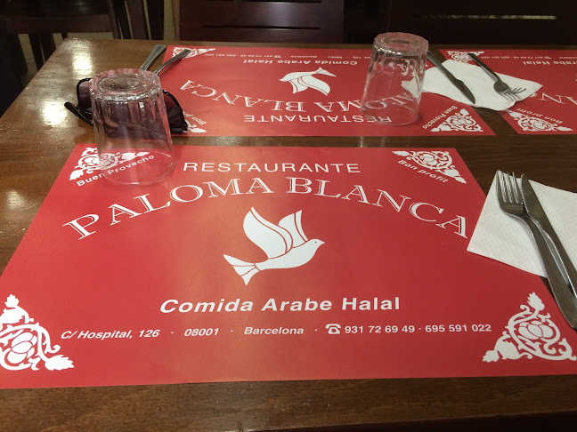 Paloma Blanca Open Times