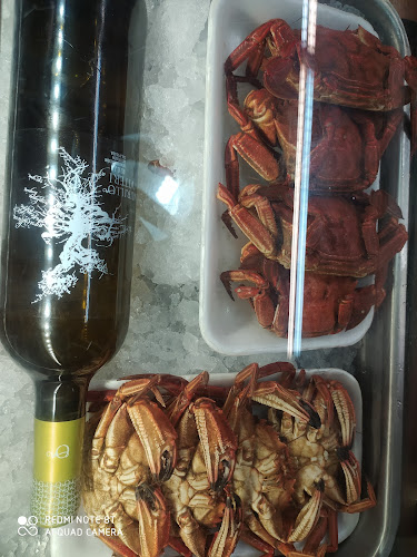 Cervecera Amadora Txiki - Gastronomía y hostelería