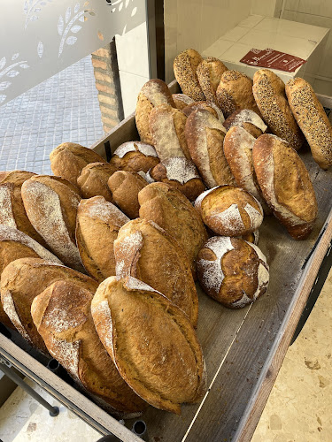 Trigo by Olmos - Alaquàs