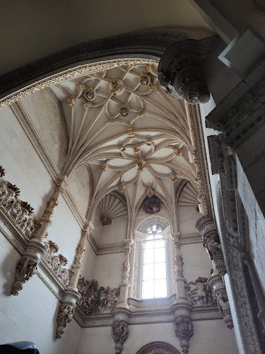 Comentarii opinii despre Vinos Ojosnegros SL