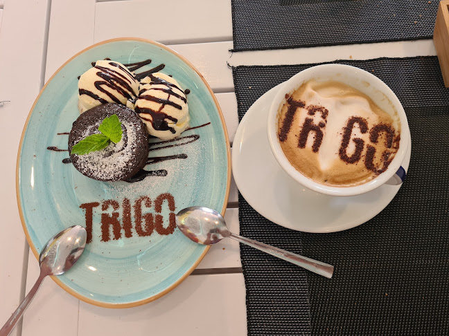 https://trigopizzeria.com/