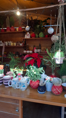 Mercado Navideño - Gastronomía y hostelería