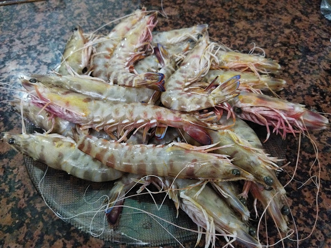 Restaurante Mesón José María Phone number