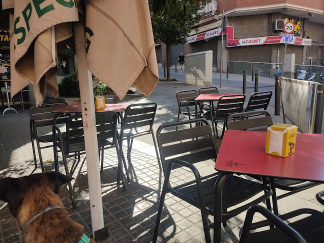 Araceli Phone number