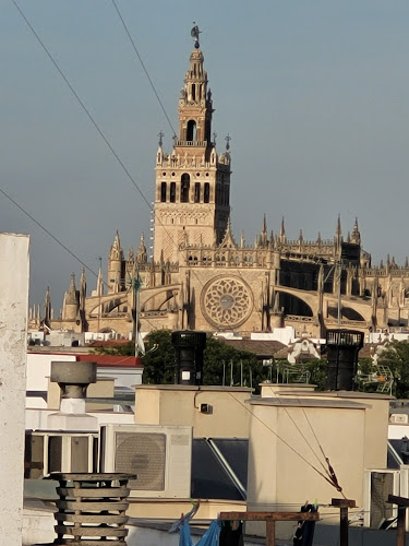 Comentarii opinii despre El Zielo de Triana