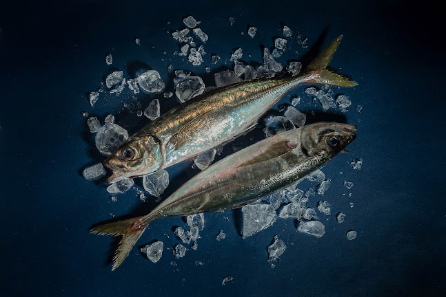 Comentarii opinii despre Pescadería EL ABRA Arraindegia